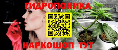 гидропоника Нягань