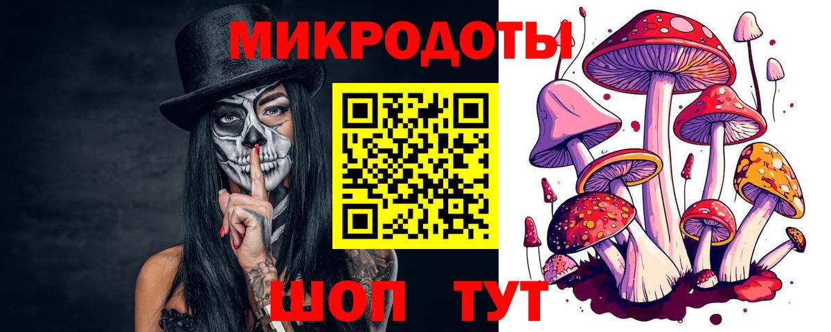 Псилоцибиновые грибы GOLDEN TEACHER Усть-Илимск