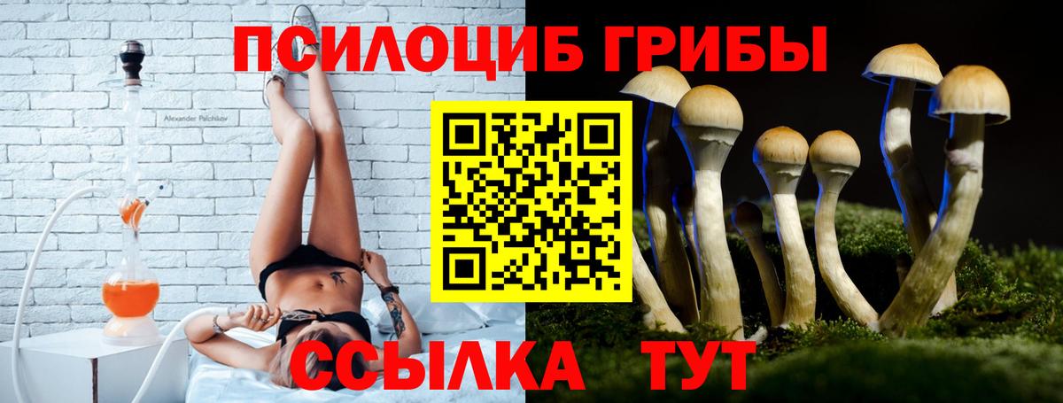 Псилоцибиновые грибы Psilocybe  цены наркотик  Усть-Илимск  Вход с VPN 